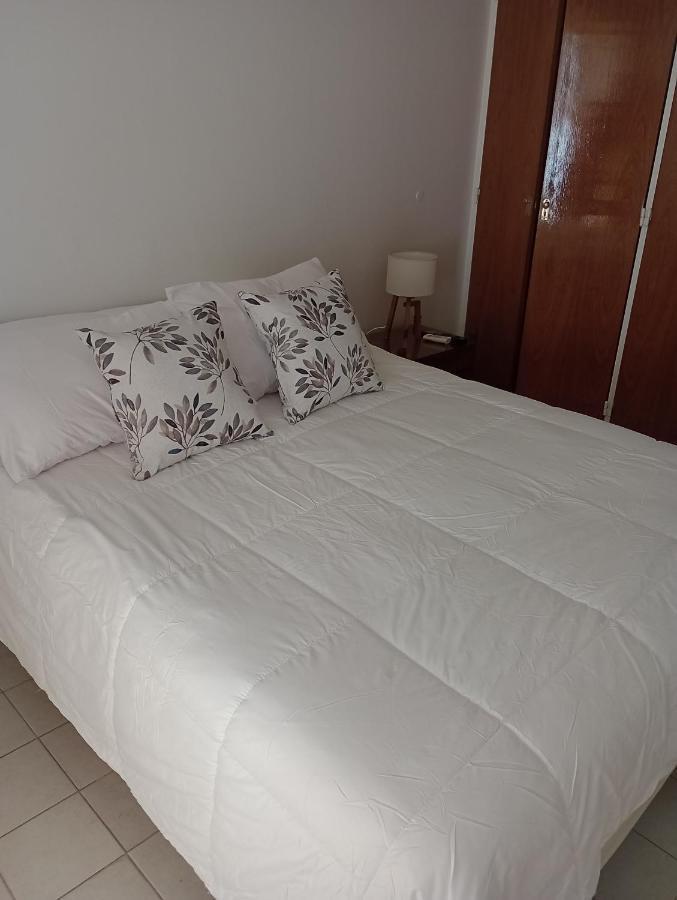 Апартаменти Departamento Belgrano Мендоса Екстер'єр фото
